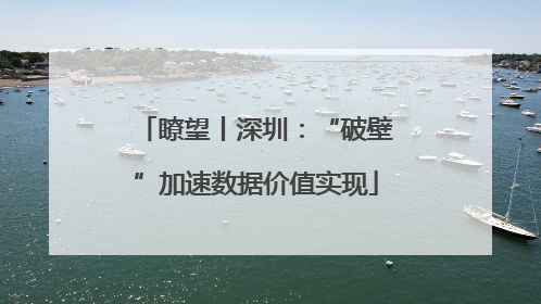 瞭望丨深圳：“破壁”加速数据价值实现