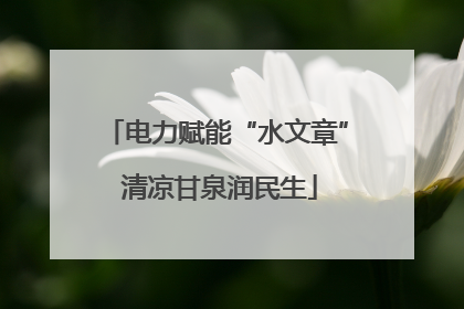 电力赋能“水文章” 清凉甘泉润民生