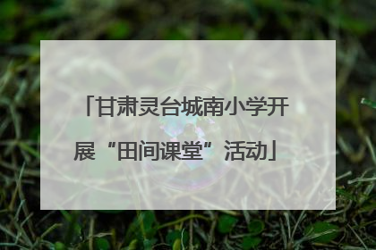 甘肃灵台城南小学开展“田间课堂”活动