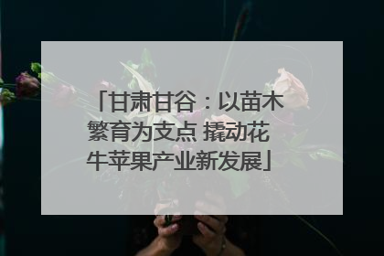 甘肃甘谷：以苗木繁育为支点 撬动花牛苹果产业新发展