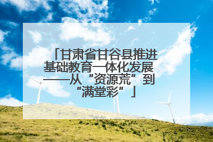 甘肃省甘谷县推进基础教育一体化发展——从“资源荒”到“满堂彩”