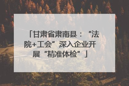 甘肃省肃南县：“法院+工会”深入企业开展“精准体检”