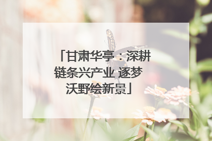 甘肃华亭：深耕链条兴产业 逐梦沃野绘新景