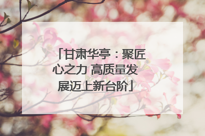 甘肃华亭：聚匠心之力 高质量发展迈上新台阶