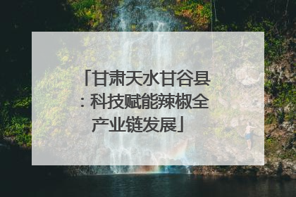 甘肃天水甘谷县：科技赋能辣椒全产业链发展