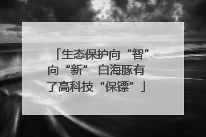 生态保护向“智”向“新” 白海豚有了高科技“保镖”