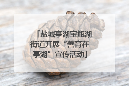 盐城亭湖宝瓶湖街道开展“善育在亭湖”宣传活动