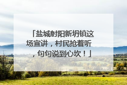 盐城射阳新坍镇这场宣讲，村民抢着听，句句说到心坎！