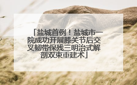 盐城首例！盐城市一院成功开展膝关节后交叉韧带保残三明治式解剖双束重建术