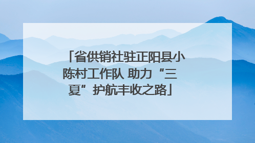 省供销社驻正阳县小陈村工作队 助力“三夏”护航丰收之路