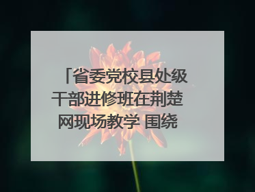 省委党校县处级干部进修班在荆楚网现场教学 围绕网络综合治理工作展开交流