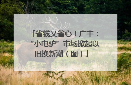 省钱又省心！广丰：“小电驴”市场掀起以旧换新潮（图）