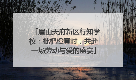 眉山天府新区行知学校：枇杷橙黄时，共赴一场劳动与爱的盛宴