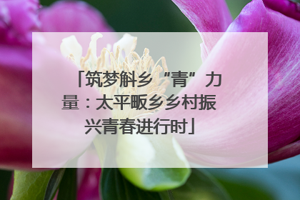 筑梦斛乡“青”力量：太平畈乡乡村振兴青春进行时