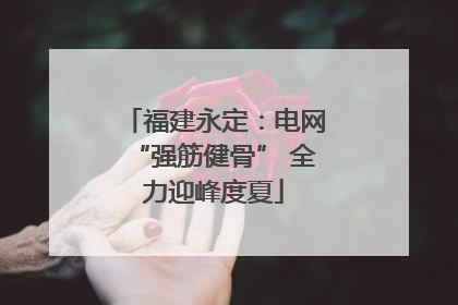 福建永定：电网“强筋健骨” 全力迎峰度夏