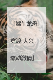 端午龙舟竞渡 大兴燃动激情