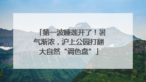 第一波睡莲开了！暑气渐浓，沪上公园打翻大自然“调色盘”