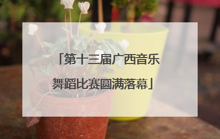 第十三届广西音乐舞蹈比赛圆满落幕
