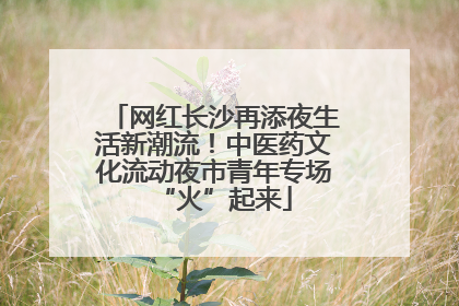 网红长沙再添夜生活新潮流！中医药文化流动夜市青年专场“火”起来