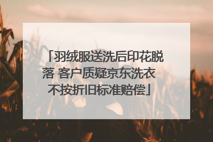 羽绒服送洗后印花脱落 客户质疑京东洗衣不按折旧标准赔偿