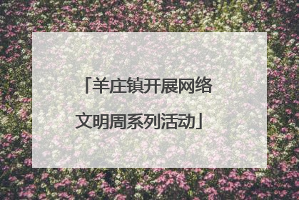羊庄镇开展网络文明周系列活动