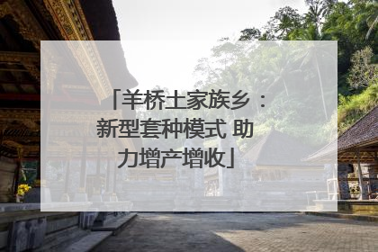 羊桥土家族乡：新型套种模式 助力增产增收