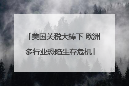 美国关税大棒下 欧洲多行业恐陷生存危机