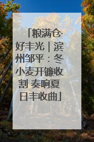 粮满仓·好丰光｜滨州邹平：冬小麦开镰收割 奏响夏日丰收曲