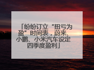 纷纷订立“扭亏为盈”时间表，蔚来、小鹏、小米汽车设定四季度盈利