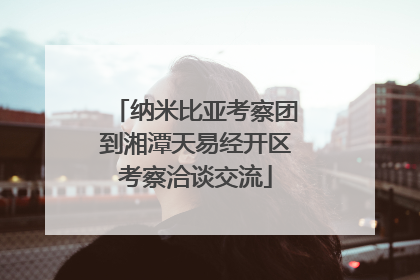 纳米比亚考察团到湘潭天易经开区考察洽谈交流