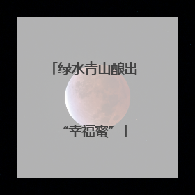 绿水青山酿出“幸福蜜”