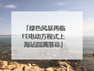 绿色风暴再临 FE电动方程式上海站圆满落幕
