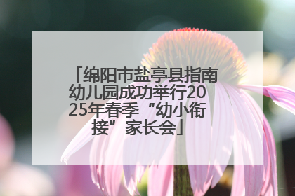 绵阳市盐亭县指南幼儿园成功举行2025年春季“幼小衔接”家长会