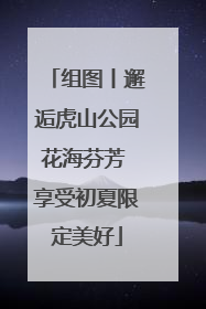 组图丨邂逅虎山公园花海芬芳 享受初夏限定美好
