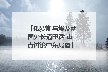 俄罗斯与埃及两国外长通电话 重点讨论中东局势