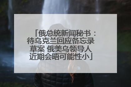 俄总统新闻秘书：待乌克兰回应备忘录草案 俄美乌领导人近期会晤可能性小
