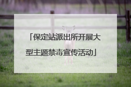 保定站派出所开展大型主题禁毒宣传活动