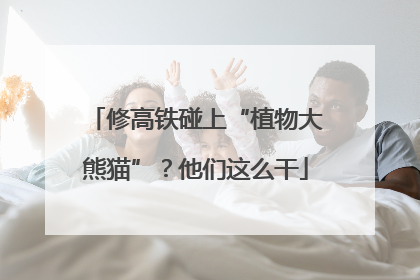 修高铁碰上“植物大熊猫”？他们这么干