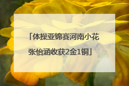 体操亚锦赛河南小花张怡涵收获2金1铜