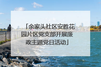 余家头社区安胜花园片区党支部开展廉政主题党日活动