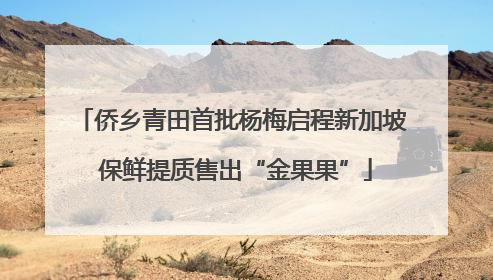 侨乡青田首批杨梅启程新加坡 保鲜提质售出“金果果”