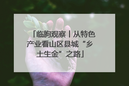 临朐观察丨从特色产业看山区县城“乡土生金”之路