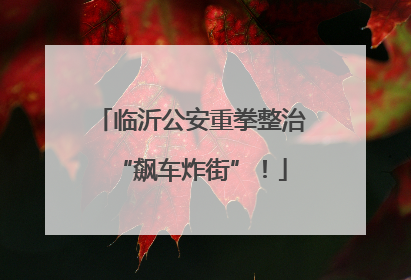 临沂公安重拳整治“飙车炸街”！