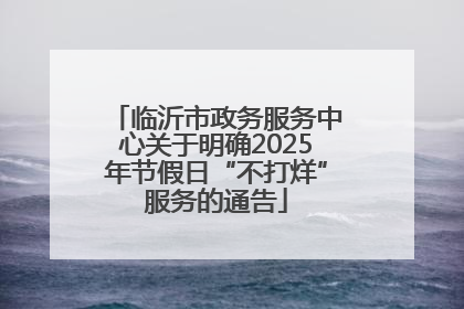 临沂市政务服务中心关于明确2025年节假日“不打烊”服务的通告