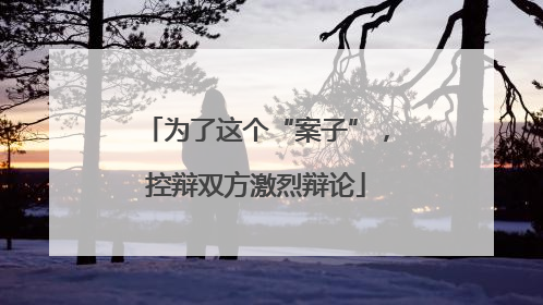 为了这个“案子”，控辩双方激烈辩论
