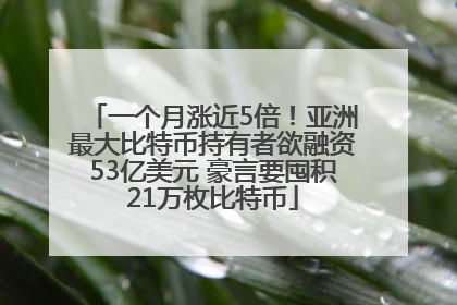 一个月涨近5倍！亚洲最大比特币持有者欲融资53亿美元 豪言要囤积21万枚比特币