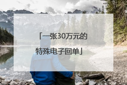 一张30万元的特殊电子回单