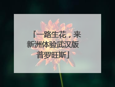 一路生花，来新洲体验武汉版普罗旺斯