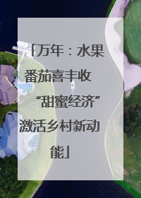 万年：水果番茄喜丰收 “甜蜜经济”激活乡村新动能