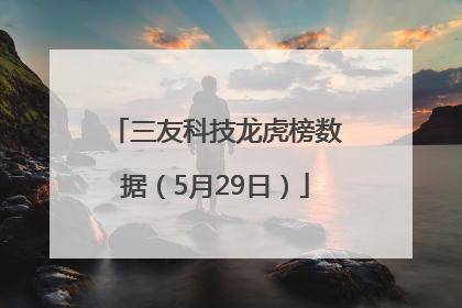 三友科技龙虎榜数据（5月29日）